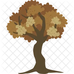 Tree  Icon