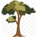 Tree Plant Jungle Icon
