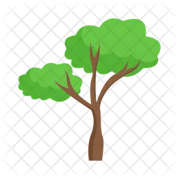 Tree  Icon