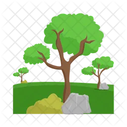 Tree  Icon