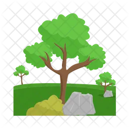 Tree  Icon