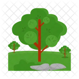 Tree  Icon