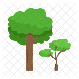 Tree  Icon