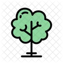 Tree Nature Plant Icon