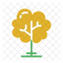 Tree  Icon