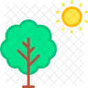 Tree Green Energy Sun Energy Icon
