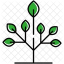 Tree Nature Plant Icon