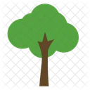 Tree Nature Botanical Icon
