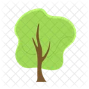 Tree Natural Ecology Icon