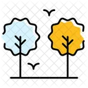 Tree Nature Plant Icon