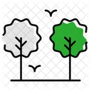 Tree Nature Plant Icon