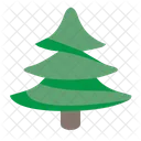 Tree Fir Plant Icon