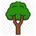 Tree Nature Oxygen Icon