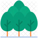 Agriculture Tree Pine Icon