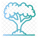 Tree  아이콘