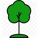 Tree Nature Forest Icon