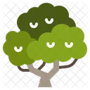 Tree  Icon