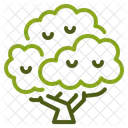Nature Plant Forest Icon
