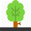 Tree Nature Greenery Icon