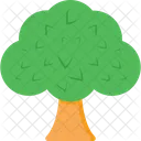 Tree Shrub Nature Icon