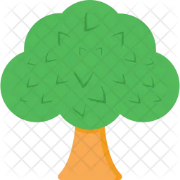 Tree  Icon