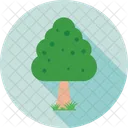 Tree  Icon