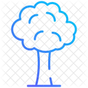 Tree Nature Plant Icon