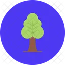 Tree Nature Forest Icon