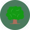 Tree Nature Forest Icon