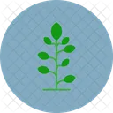 Tree Nature Forest Icon