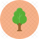 Tree Nature Forest Icon