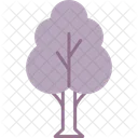 Tree Nature Forest Icon