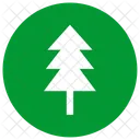 Plant Tree Fir Icon