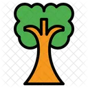 Tree Nature Plant Icon