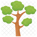 Hangman Elm Evergreen Icon