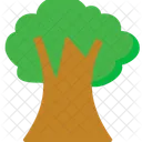 Nature Plant Forest Icon