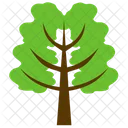 Hemlock Tree Spruce Icon