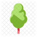 Tree Nature Leaf Icon
