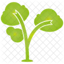 Tree Plant Green Icon