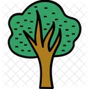 Tree Oak Shrub Icon