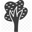 Tree Shrub Tree Nature Icon