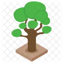 Tree Plant Forest Icon