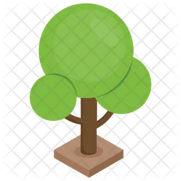 Tree  Icon