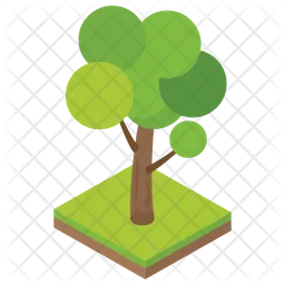 Tree  Icon