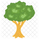 Apple Tree Fruit Tree Tree Icon