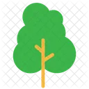 Botanical Yard Tree Icon