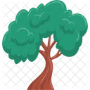 Tree  Icon