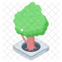 Tree Plant Bush Icon