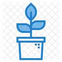 Tree Plant Pot Icon