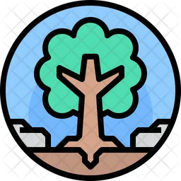 Tree  Icon